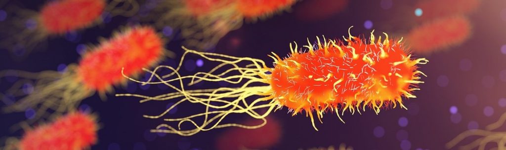 Hörgerätereinigung 2025: damit Sie immer optimal hören 12