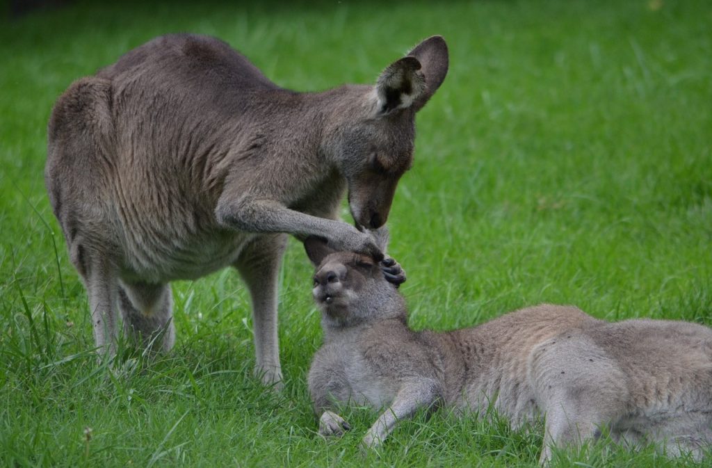 Hörgerätereinigung 2025: damit Sie immer optimal hören 11
