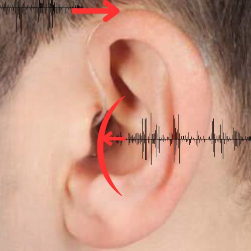 Telefonieren mit dem Hörgerät - Tipps und Tricks 2025 13