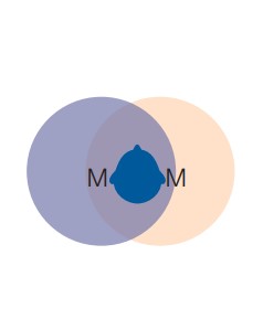 Beltone Serene - die Zukunft beginnt jetzt .... 8