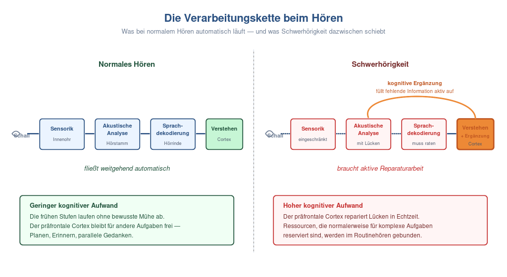 Hörermüdung - warum Hören mit Schwerhörigkeit das Gehirn so anstrengt — und was wirklich hilft 10